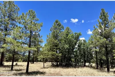 4453 Navajo Drive #358, Happy Jack, AZ 86024 - Photo 2