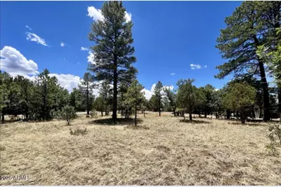 4453 Navajo Drive #358, Happy Jack, AZ 86024 - Photo 6