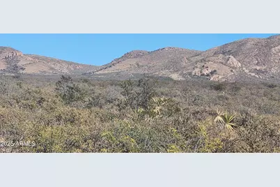 Xxxx E Cll Principal -- #258, Douglas, AZ 85607 - Photo 4