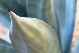 2647 N 73rd Pl, Scottsdale, AZ 85257 - Photo 32