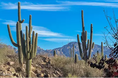 1313 W Tortolita Mountain Circle, Oro Valley, AZ 85755 - Photo 40