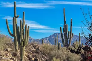 1313 W Tortolita Mountain Circle, Oro Valley, AZ 85755 - Photo 40