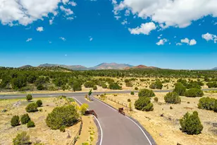 6647 Meadows Ln, Flagstaff, AZ 86004 - Photo 18