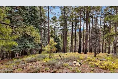 1500 Forest Service Road #2, Prescott, AZ 86303 - Photo 22