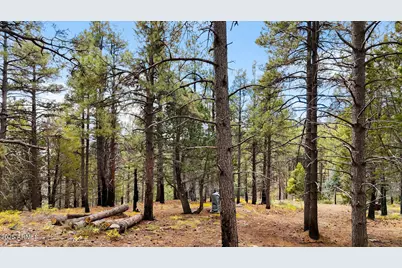 1500 Forest Service Road #2, Prescott, AZ 86303 - Photo 16