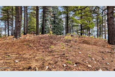 1500 Forest Service Road #2, Prescott, AZ 86303 - Photo 14