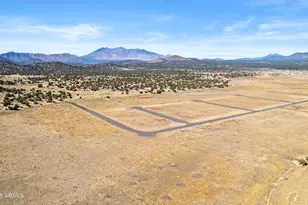 12907 Blazing Ore Trl, Flagstaff, AZ 86004 - Photo 8