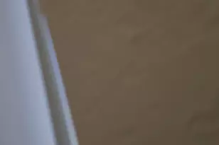 2344 W Lobo Ave, Mesa, AZ 85202 - Photo 24