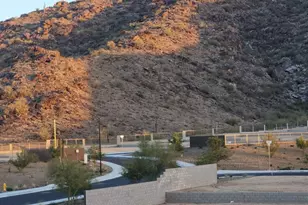 9816 S 11th Pl, Phoenix, AZ 85042 - Photo 38