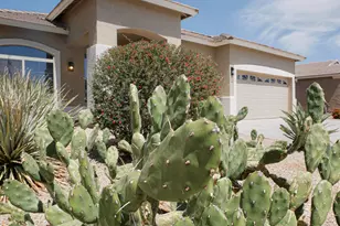 1024 W Ayrshire Trail, San Tan Valley, AZ 85143 - Photo 30