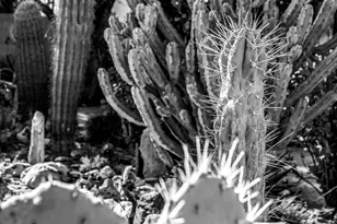 10655 E Autumn Sage Dr, Scottsdale, AZ 85255 - Photo 14