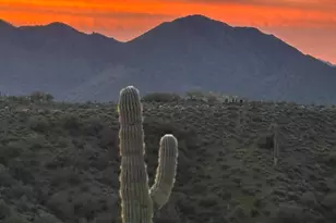 14714 N El Camino Dorado, Fort McDowell, AZ 85264 - Photo 186