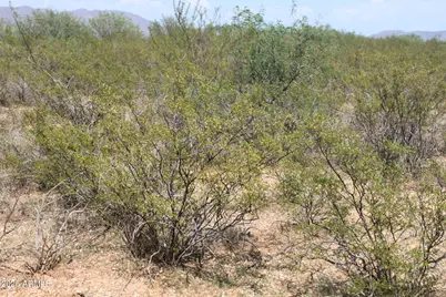 062 E State Route 90 Highway #84, Sierra Vista, AZ 85635 - Photo 16