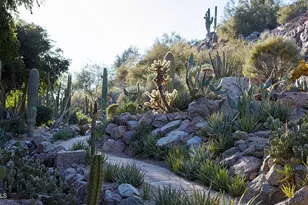 4849 N Camelback Rdg Dr, Scottsdale, AZ 85251 - Photo 38