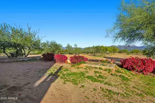 17105 E Wildcat Dr, Rio Verde, AZ 85263 - Photo 94