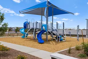 24453 W Grove St, Buckeye, AZ 85326 - Photo 42