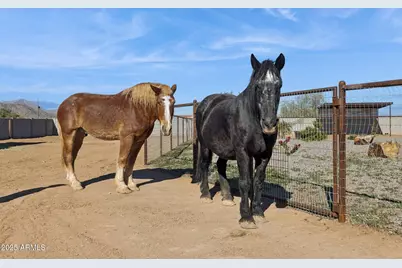 6786 W Palomino Way, Coolidge, AZ 85128 - Photo 94