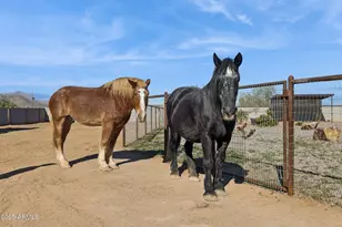 6786 W Palomino Wy, Coolidge, AZ 85128 - Photo 94