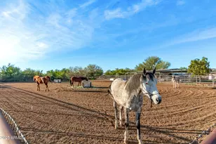 164 N Wickiup Rd, Apache Junction, AZ 85119 - Photo 40