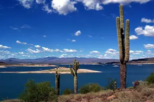 10332 W Buckhorn Trail, Peoria, AZ 85383 - Photo 78