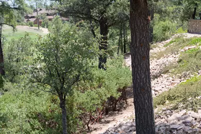 910 S Monument Valley Drive #149, Payson, AZ 85541 - Photo 6