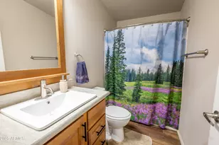 905 N Mountain Lion Pass, Globe, AZ 85502 - Photo 24