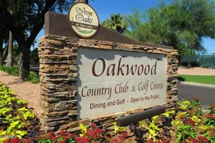 10714 E Nacoma Dr, Sun Lakes, AZ 85248 - Photo 38