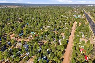 2060 Wilderness Dr, Overgaard, AZ 85933 - Photo 30