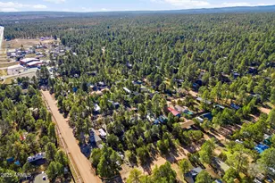 2060 Wilderness Dr, Overgaard, AZ 85933 - Photo 28