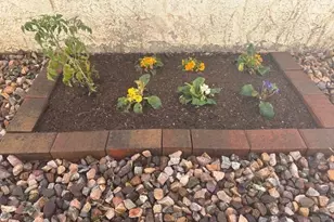 4730 W Northern Ave, Glendale, AZ 85301 - Photo 24