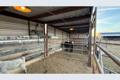 1687 E Lobo Street, San Tan Valley, AZ 85140 - Photo 72