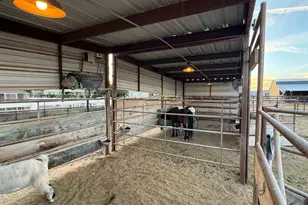 1687 E Lobo St, San Tan Valley, AZ 85140 - Photo 72