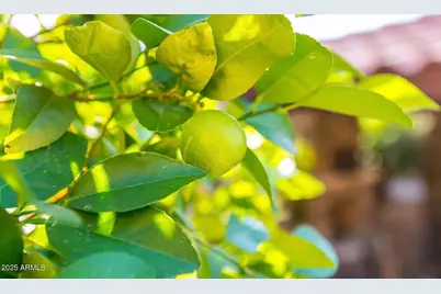 32020 N 20th Drive, Phoenix, AZ 85085 - Photo 48