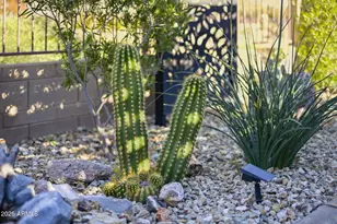 40998 W Tamara Ln, Maricopa, AZ 85138 - Photo 12