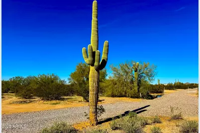 0 S Cactus Garden Way Lot 4 2.5 Ac -- #-, Marana, AZ 85658 - Photo 4