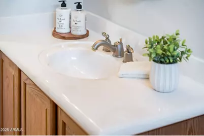 22815 N Arrellaga Drive, Sun City West, AZ 85375 - Photo 58