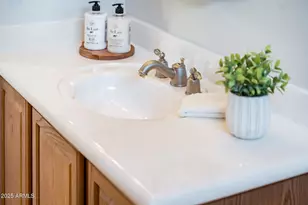 22815 N Arrellaga Dr, Sun City West, AZ 85375 - Photo 58