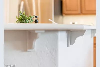 22815 N Arrellaga Drive, Sun City West, AZ 85375 - Photo 52