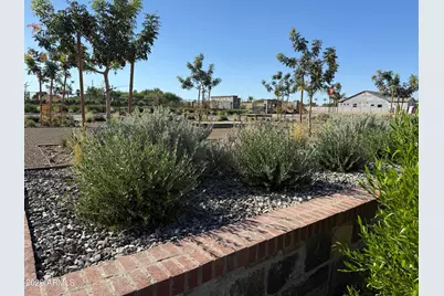 1172 E Firestone Drive, Chandler, AZ 85249 - Photo 30