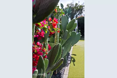 5101 N 33rd Street, Phoenix, AZ 85018 - Photo 36