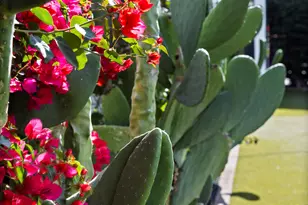 5101 N 33rd St, Phoenix, AZ 85018 - Photo 36