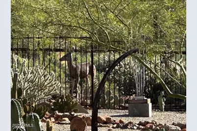 36383 N 38th Street, Cave Creek, AZ 85331 - Photo 16