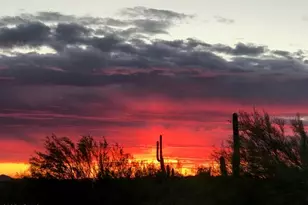 36383 N 38th St, Cave Creek, AZ 85331 - Photo 10