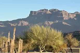 6973 E Hacienda La Noria Ln, Gold Canyon, AZ 85118 - Photo 68