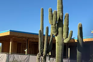 9300 E Via Montoya Pl, Scottsdale, AZ 85255 - Photo 6