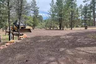 800 S 24th Dr, Show Low, AZ 85901 - Photo 40