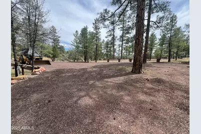 800 S 24th Drive, Show Low, AZ 85901 - Photo 42