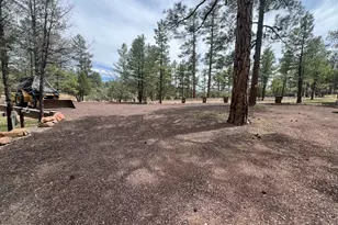 800 S 24th Dr, Show Low, AZ 85901 - Photo 42