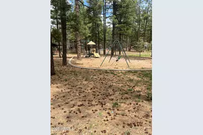 800 S 24th Drive, Show Low, AZ 85901 - Photo 8