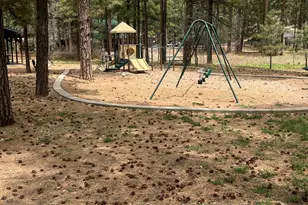 800 S 24th Dr, Show Low, AZ 85901 - Photo 8